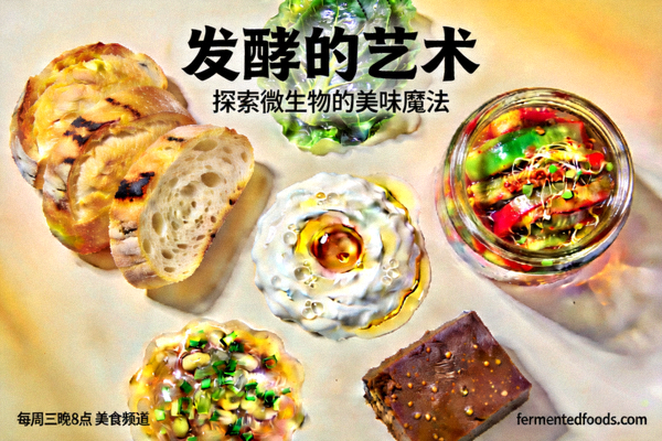 《发酵的艺术》节目海报，展示各种发酵食品